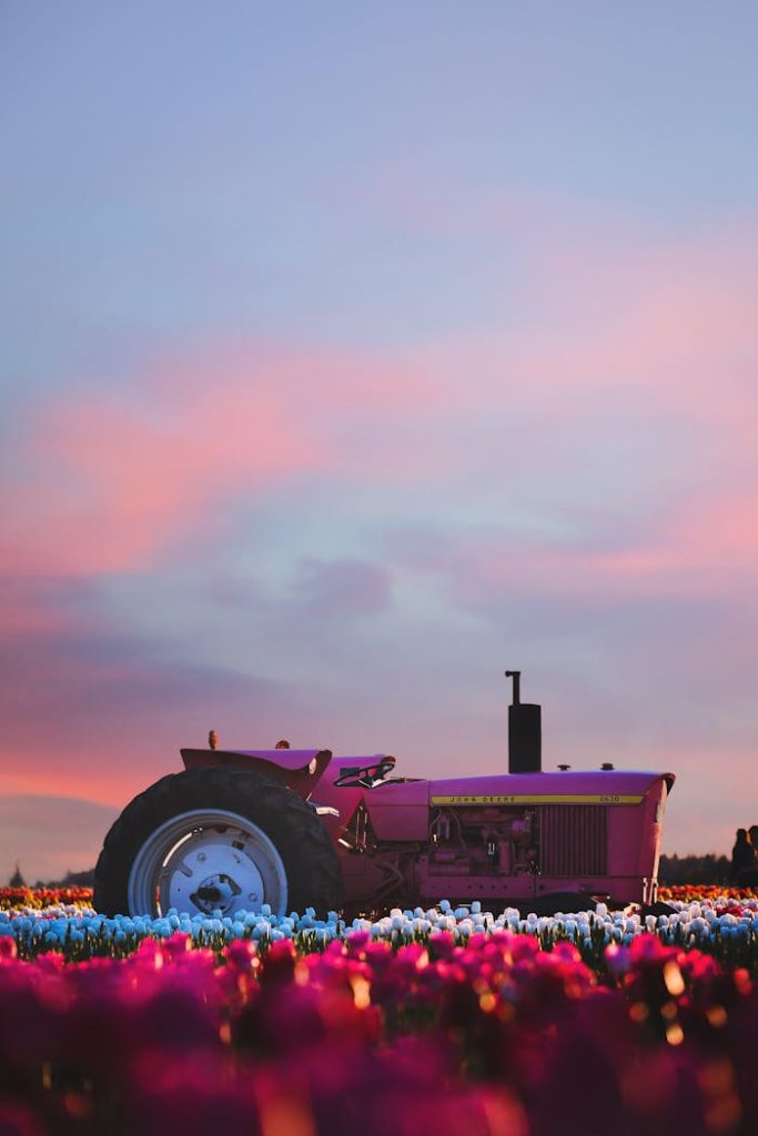 Mastering the First Impression: Your intriguing post title goes here A stunning pink tractor in vibrant tulip fields during a picturesque sunset in Woodburn, Oregon.