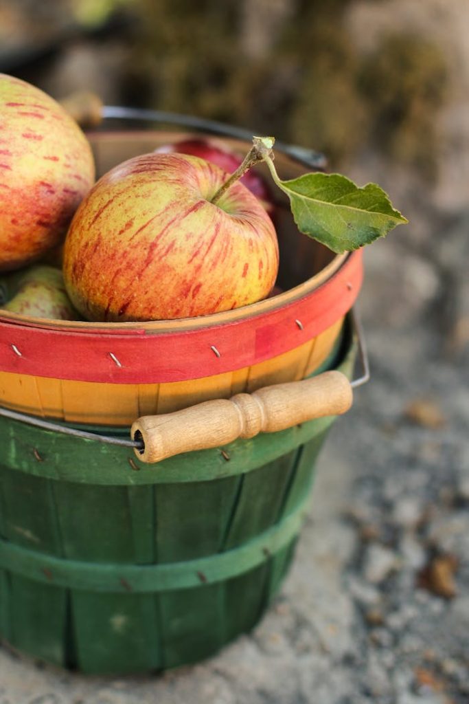 The Art of Drawing Readers In: Your attractive post title goes here A vibrant and rustic basket filled with freshly harvested apples outdoors, showcasing farm freshness.